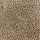Stanton Carpet: Shaggy Plush Sand